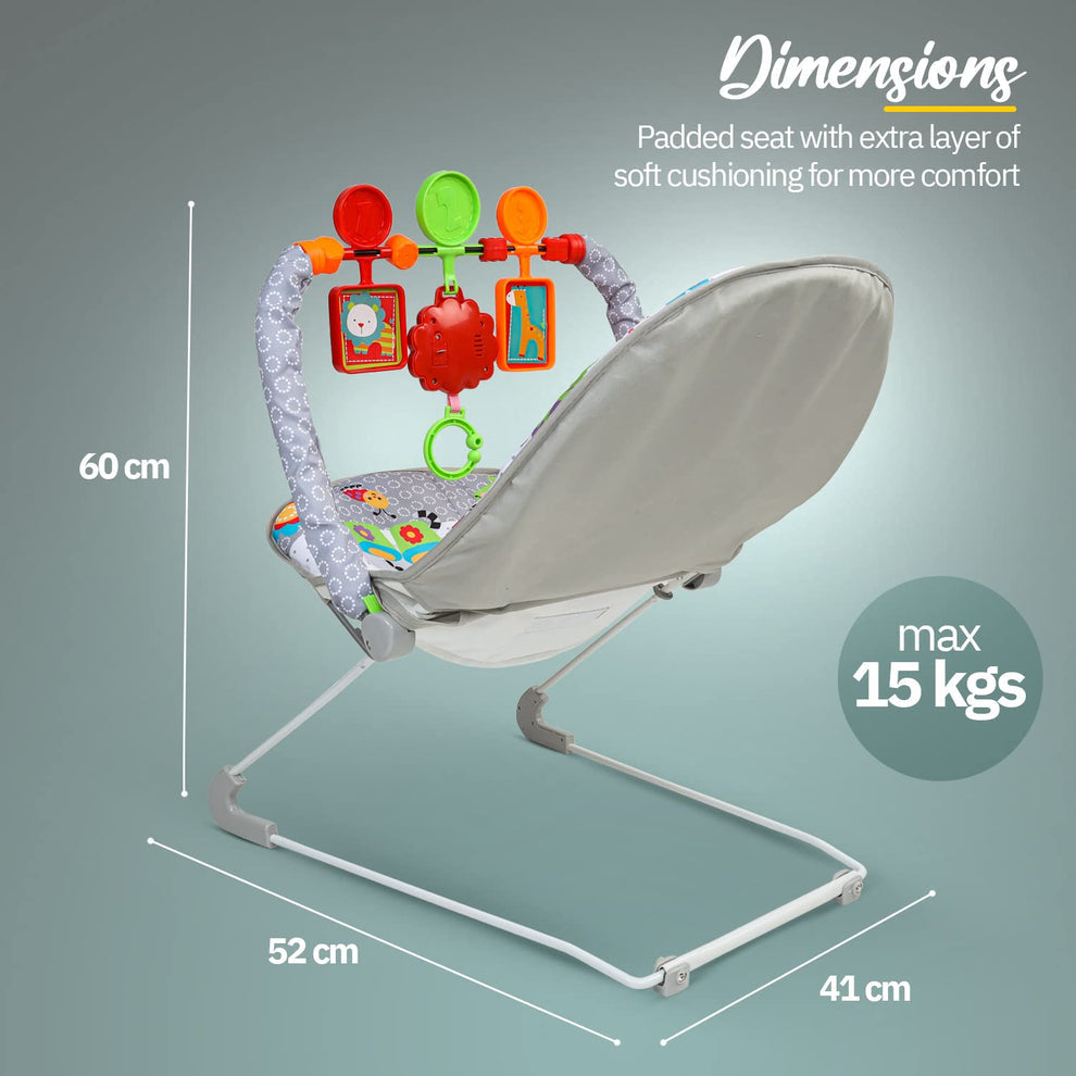 Portable Baby Bouncer and Rocker Chair with Soothing Vibrations